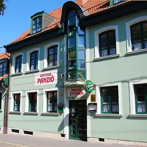 Bed & Breakfast Bacchus Panzio, Eger